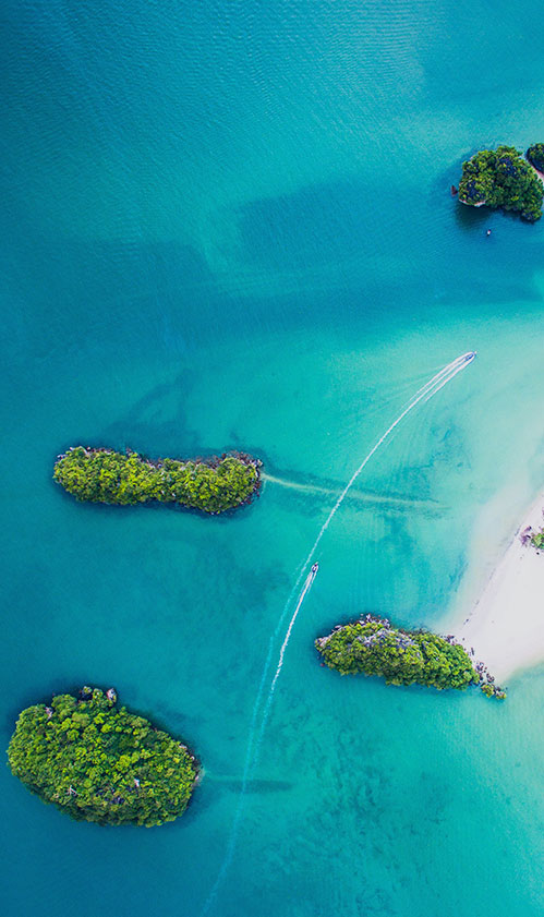 ht://unsplash.com/dnevozhai